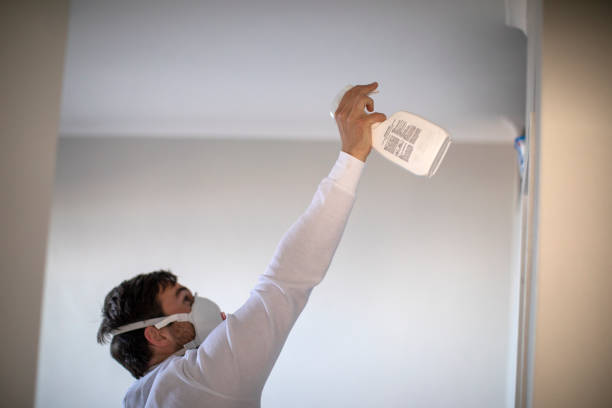 Best Certified Mold Removal  in Big Pine, CA