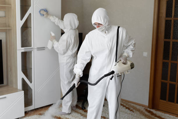 Best Mold Cleaning Services  in Big Pine, CA