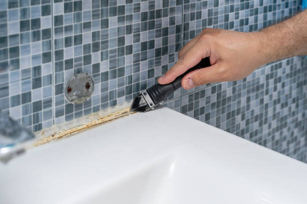 Mold Removal and Inspection in Big Pine, CA