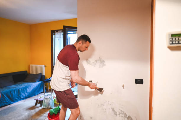 Trusted Big Pine, CA Mold Removal Experts